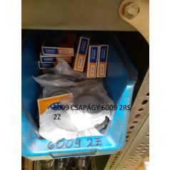 6009 CSAPÁGY 6009 2RS 2Z