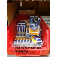 6003 CSAPÁGY 6003 2RS GENERÁTOR