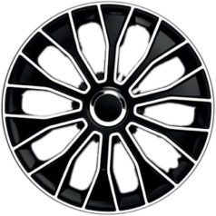 13" Voltec Pro Black & White