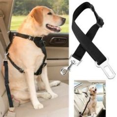 Biztonsági Öv csatlakozású rövidpóráz állatoknak 