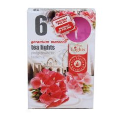 GERANIUM MAROCCO Teamécses illatgyertya A6 6db-os