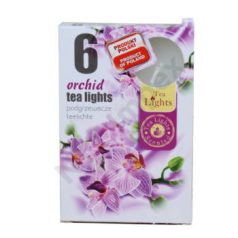 ORHIDEA teamécses, illatgyertya 6 db-os (ORCHIDEA)