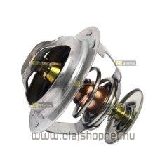 Termosztát Citroen Berlingo 1.9D 96-